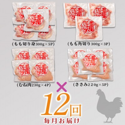 国産 よさこい尾鶏 鶏肉4種セット 定期便 毎回計4kg前後×12回 天皇杯受賞 食べ比べ 唐揚げ