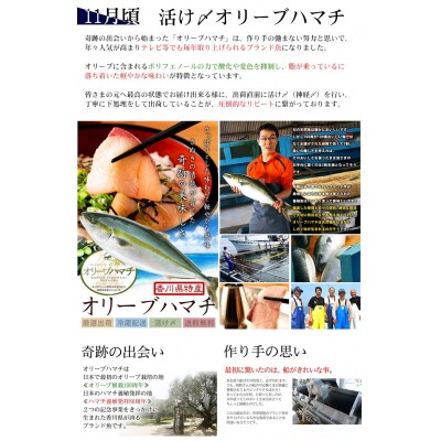 【定期便】瀬戸内海鮮「旬」お届けセット(1年で5回のお届けとなります)【G-1】