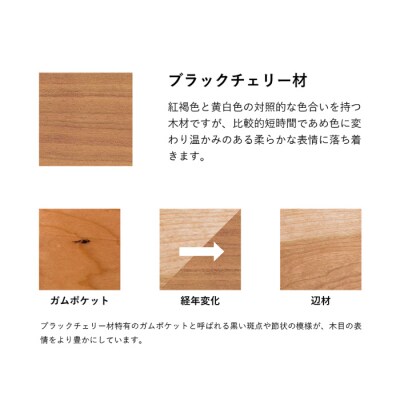 【Ritzwell】【ブラックチェリー】RIVAGE EASY CHAIR[AYG039]
