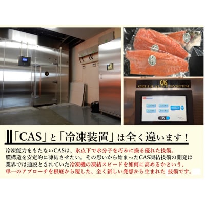 CAS凍結　オリーブサーモン　1尾【B-24】