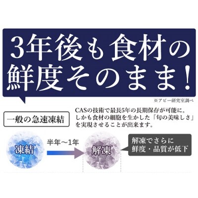  CAS凍結　オリーブサーモン　1尾【B-24】