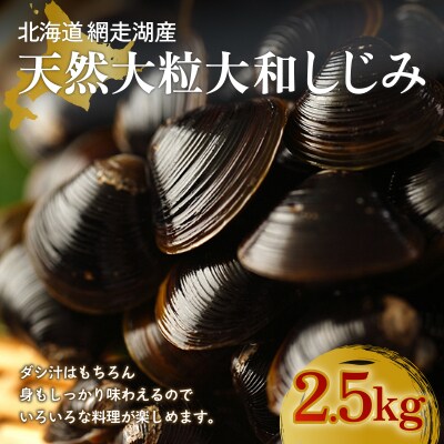 厳選!網走湖産大粒天然大和しじみ2.5kg　OSA011