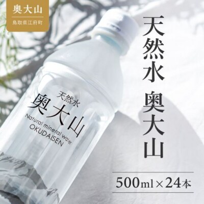 【定期便3回】天然水奥大山 500ml 1箱24本入り 3ヶ月連続発送 ミネラルウォーター