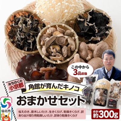 角館が育んだ おまかせセット 合計約300g えのき きくらげ 椎茸|02_sne-010101
