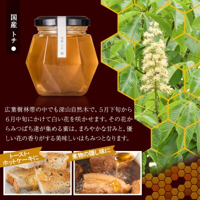 国産 アカシヤ・トチ・里山 100g 各1個 山のはちみつ屋|02_bsk-190101