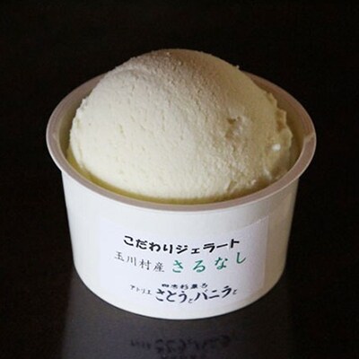 無添加 さるなしジェラート 12個 100ml さとうとバニラと 福島県 玉川村産 FT18-279