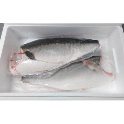 オリーブハマチ　冷凍　カマ・鱗付き半身2枚　約3kg(原体4.6kg)【B-55】