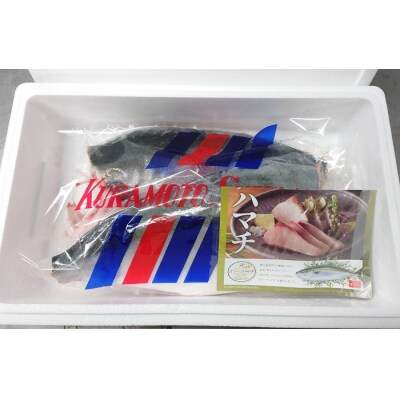 オリーブハマチ　冷凍　カマ・鱗付き半身2枚　約3kg(原体4.6kg)【B-55】