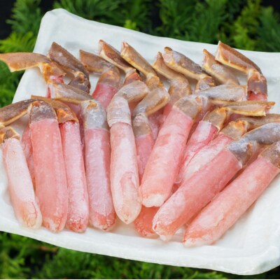 【食べ応え十分!!】生ズワイガニしゃぶしゃぶ用ポーション500g かに 蟹 F4F-0558