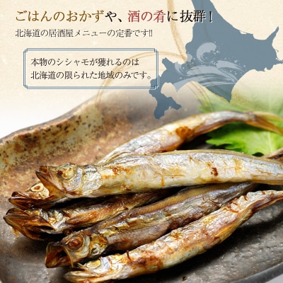 北海道産・子持ちししゃも 30尾入 ふるさと納税 魚 F4F-7768
