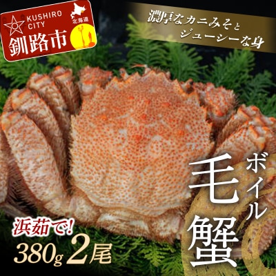 【浜茹で!】ボイル毛ガニ380g(冷凍)×2尾 ふるさと納税 かに 蟹 F4F-5341