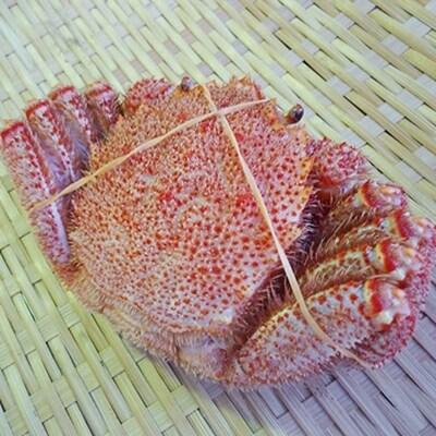 いくら醤油漬け90g×1 ボイル毛がに380g～400g ふるさと納税 F4F-8831