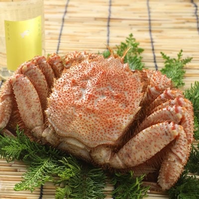 釧路福司「スパークリング清酒」500ml1本 ボイル毛がに600g 酒 かに F4F-5347