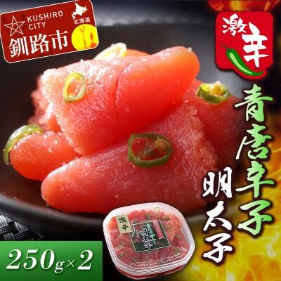 辛好き必見!!激辛 青唐辛子明太子250g×2 ふるさと納税 明太子 F4F-0478
