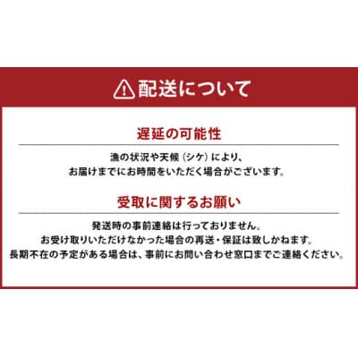 【活加工】剥きほっき(刺身用)1kg(20玉前後)×1袋 ほっき ほっき貝 ホッキ