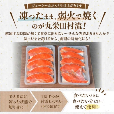 旨味抜群!!第ニ弾!キングサイズの甘塩紅鮭半身厚切10切!! ふるさと納税 鮭 F4F-7776