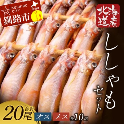 【オスメス食べ比べ】北海道産・ししゃもセット ふるさと納税 ししゃも F4F-3597