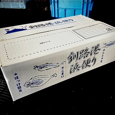 【北海道産】釧路港浜便り 海鮮ろばた焼セット ふるさと納税 魚 F4F-0310