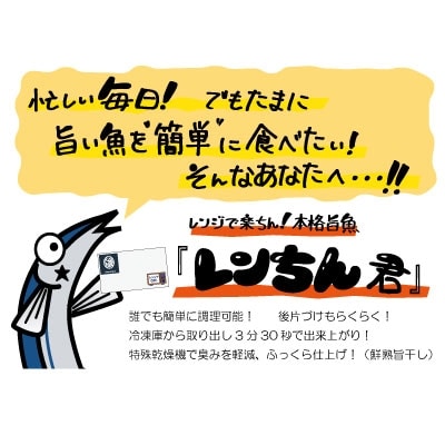 【10枚セット】レンジで楽ちん!本格旨魚!レンちん君! ふるさと納税 魚 F4F-4297