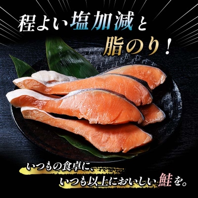 【特選】特盛銀鮭切り身 約3kg サケ さけ 銀鮭 ぎんしゃけ ご飯のお供 北海道 F4F-2252