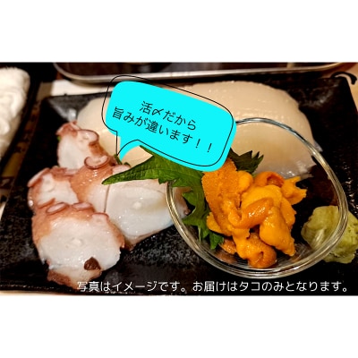 北海道産・ボイルたこ脚 (真だこ)　1kg前後 たこ 刺身 たこ焼き カルパッチョ F4F-2245