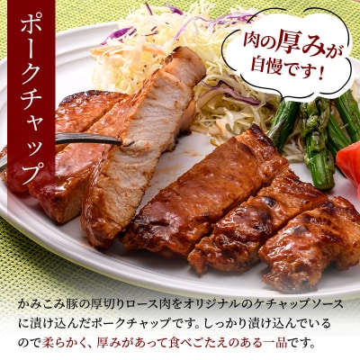 味付きかみこみ豚3種セット 豚丼 味噌漬け ポークチャップ F5F-0264