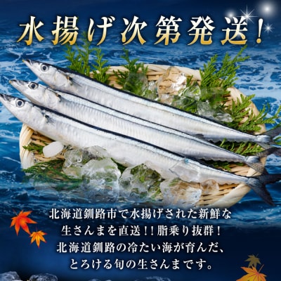 期間限定 新鮮 生さんま 2kg18～20尾 【2026年10月上旬より発送開始】