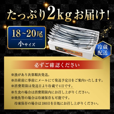 期間限定 新鮮 生さんま 2kg18～20尾 【2026年10月上旬より発送開始】