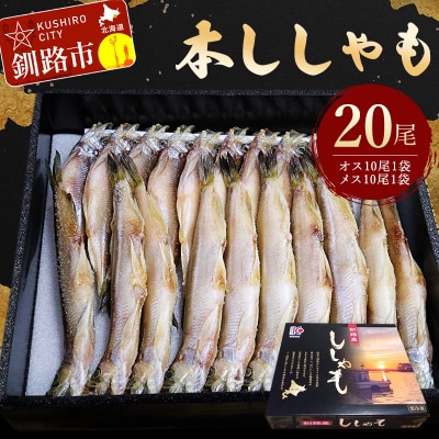 本ししゃも20尾 (オス10尾×1袋、メス10尾×1袋) シシャモ 北海道産 国産 F4F-5548