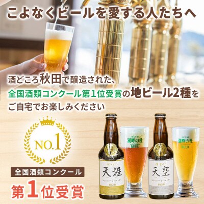 全国酒類コンクール第1位地ビール詰め合わせセット 2種 合計6本|02_tst-010601
