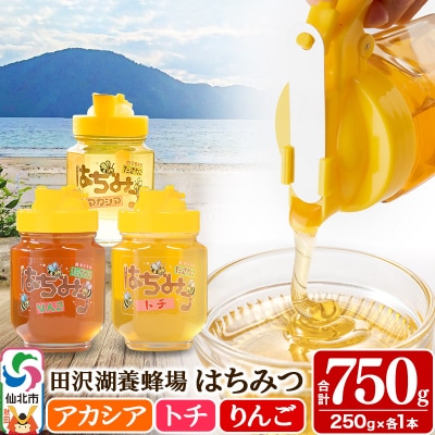 秋田県産はちみつ(アカシア・トチ・リンゴ)250g×各1本 合計750g|02_tyj-101101