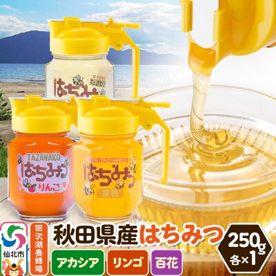 秋田県産はちみつ(アカシア・リンゴ・百花)250g×各1本 詰め合わせ|02_tyj-340301