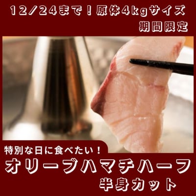期間限定受付　オリーブハマチ ハーフ(半身カット)【B-631】