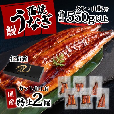 【化粧箱】国産 特上うなぎ 蒲焼き 2尾(6枚カット) ＜合計550g以上＞タレ山椒付き ギフト