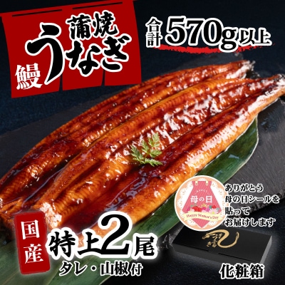 【母の日】【化粧箱】国産 特上うなぎ 蒲焼き 2尾セット ＜合計570g以上＞ タレ山椒付き ギフト