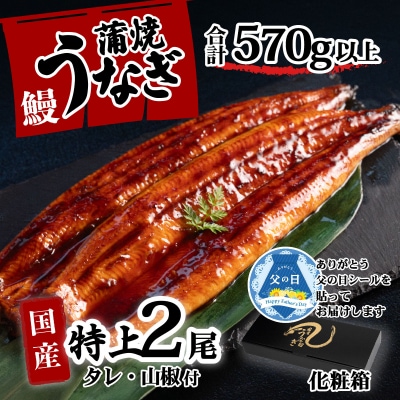 【父の日】【化粧箱】国産 特上うなぎ 蒲焼き 2尾セット ＜合計570g以上＞ タレ山椒付き ギフト