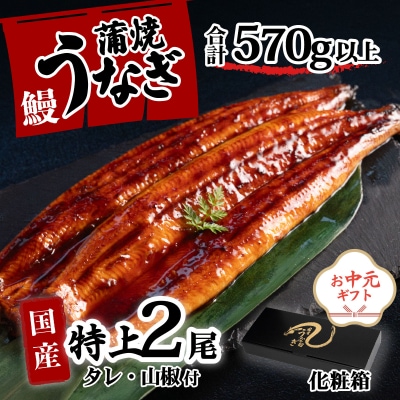 【お中元】【化粧箱】国産 特上うなぎ 蒲焼き 2尾セット ＜合計570g以上＞ タレ山椒付き ギフト