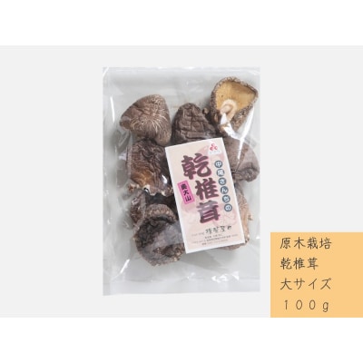 中尾さんちの乾椎茸 大 原木栽培 100g 干しシイタケ 1袋 / SAC中尾 椎茸屋 0788