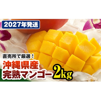 【2027年発送】直売所で厳選 沖縄県産「完熟マンゴー」2kg