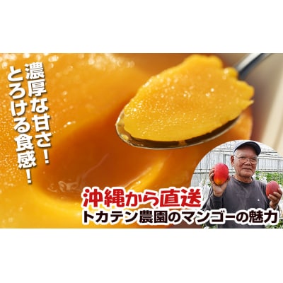 【2027年発送】濃厚な甘さ!とろける食感!沖縄県産マンゴー1kg