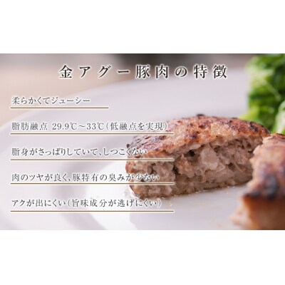 沖縄県産　金アグー　「ハンバーグ」　130g×6個セット