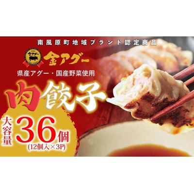 沖縄県産　金アグー　肉餃子　まんぷく　36個入り　12個×3パック