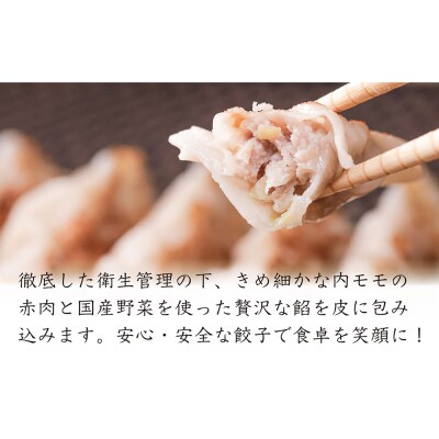 沖縄県産　金アグー　肉餃子　大容量　96個入り　12個×8パック