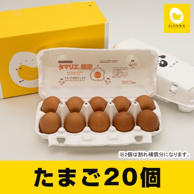 卵の黄身が掴めるほどの新鮮さ 美ら卵養鶏場の卵