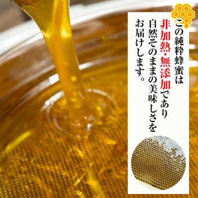 純粋蜂蜜　沖縄産　さし草蜂蜜　秋採り　250g×2本　南風原町採取