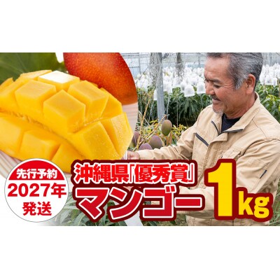 【2027年発送】芳醇な香り とろける食感 沖縄県「優秀賞」マンゴー1kg