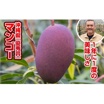 【2027年発送】芳醇な香り とろける食感 沖縄県「優秀賞」マンゴー1kg