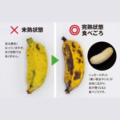 【小分け】モリンガファームさんご園芸のアップルバナナ5kg