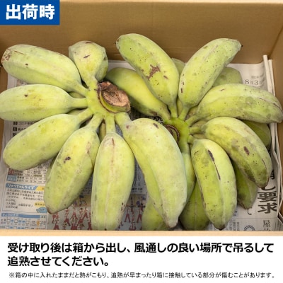 【希少】沖縄本島産 南風原町農友会の「アップルバナナ」　3kg