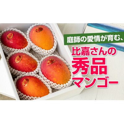 【2027年発送】比嘉マンゴーファームのアーウィンマンゴー 秀品(贈答用)2kg